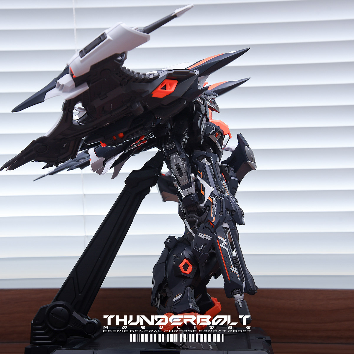 THUNDERBOLT MOBULIDAE 1/100 장난 - Model Kit Infinite Dimension 리뷰 및 가격